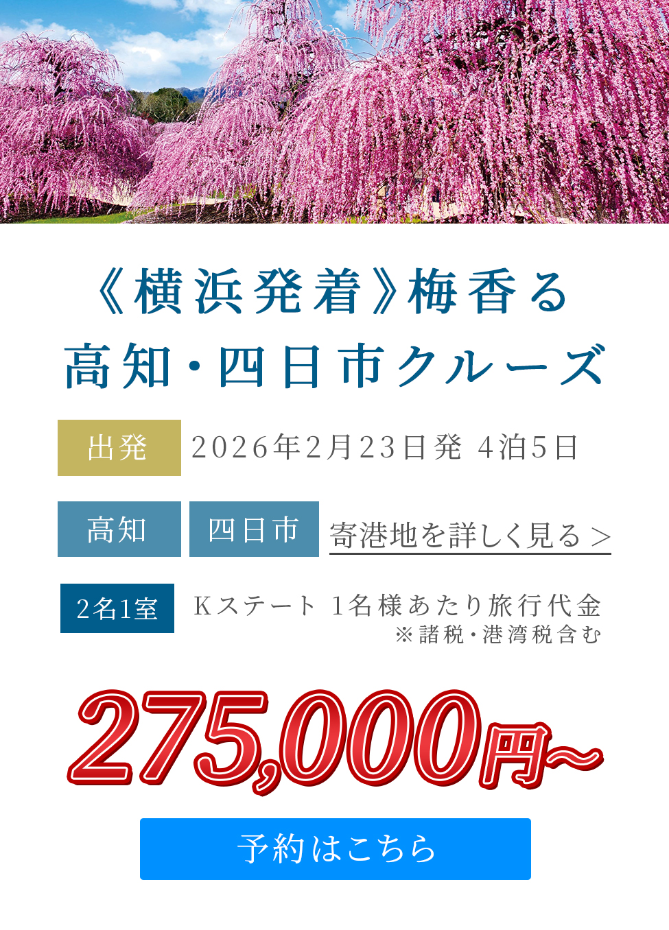 画像：
