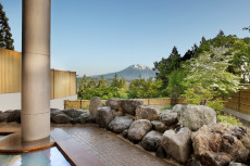 星と森のロマントピア 星の宿 白鳥座