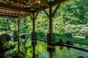 亀の井ホテル 田沢湖