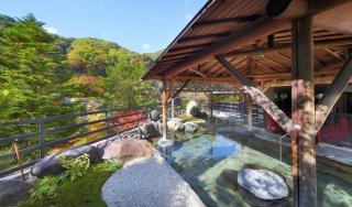 栃木県 鬼怒川温泉の宿 人気順 宿を探すなら 平日休みの方へ 圧倒的お得 宿泊予約ゆめやど 関東圏拡大中