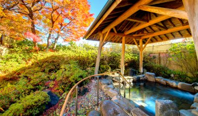 フォレストリゾート コニファーいわびつ 群馬県 吾妻峡温泉 お得な宿泊予約ならゆめやど