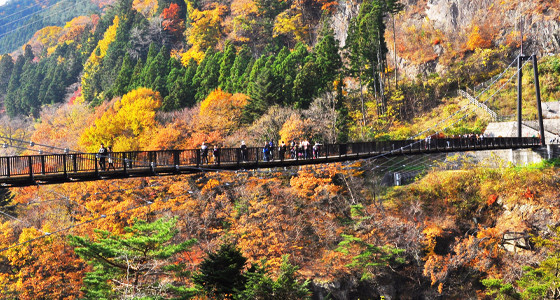 栃木県鬼怒川温泉鬼怒楯岩大吊橋