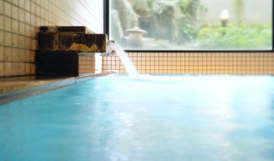 せせらぎの宿 ホテル星川館