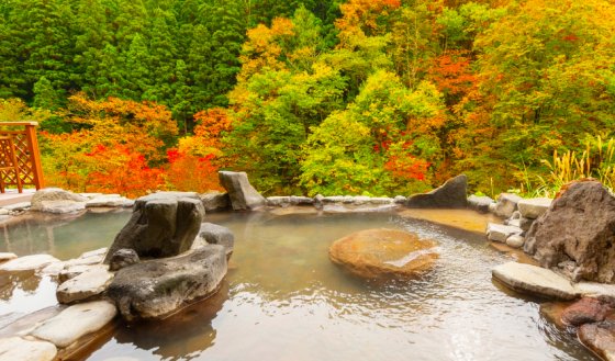 湯けむりの宿 稲住温泉（共立リゾート）