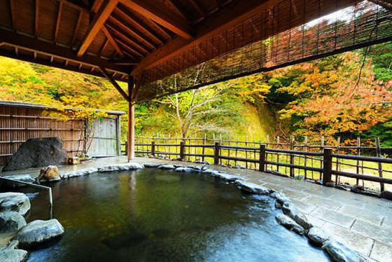 美人の湯 瀬美温泉