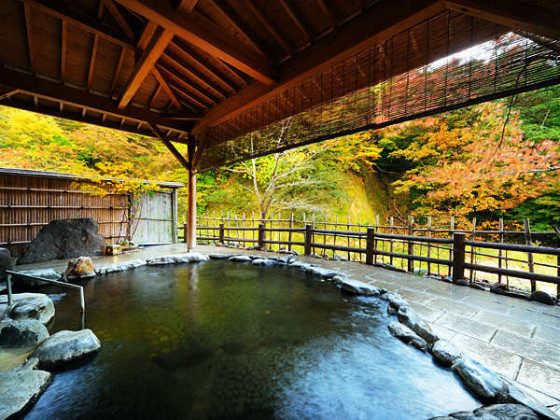 美人の湯 瀬美温泉